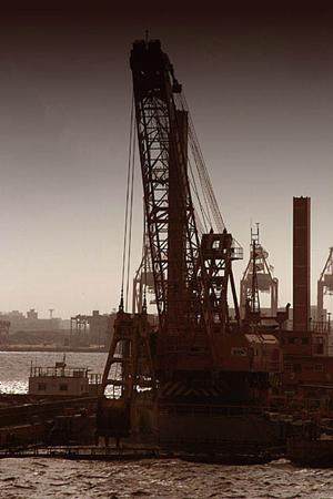 競技用タイマーを手軽に購入しよう